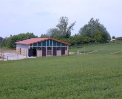 halle_small